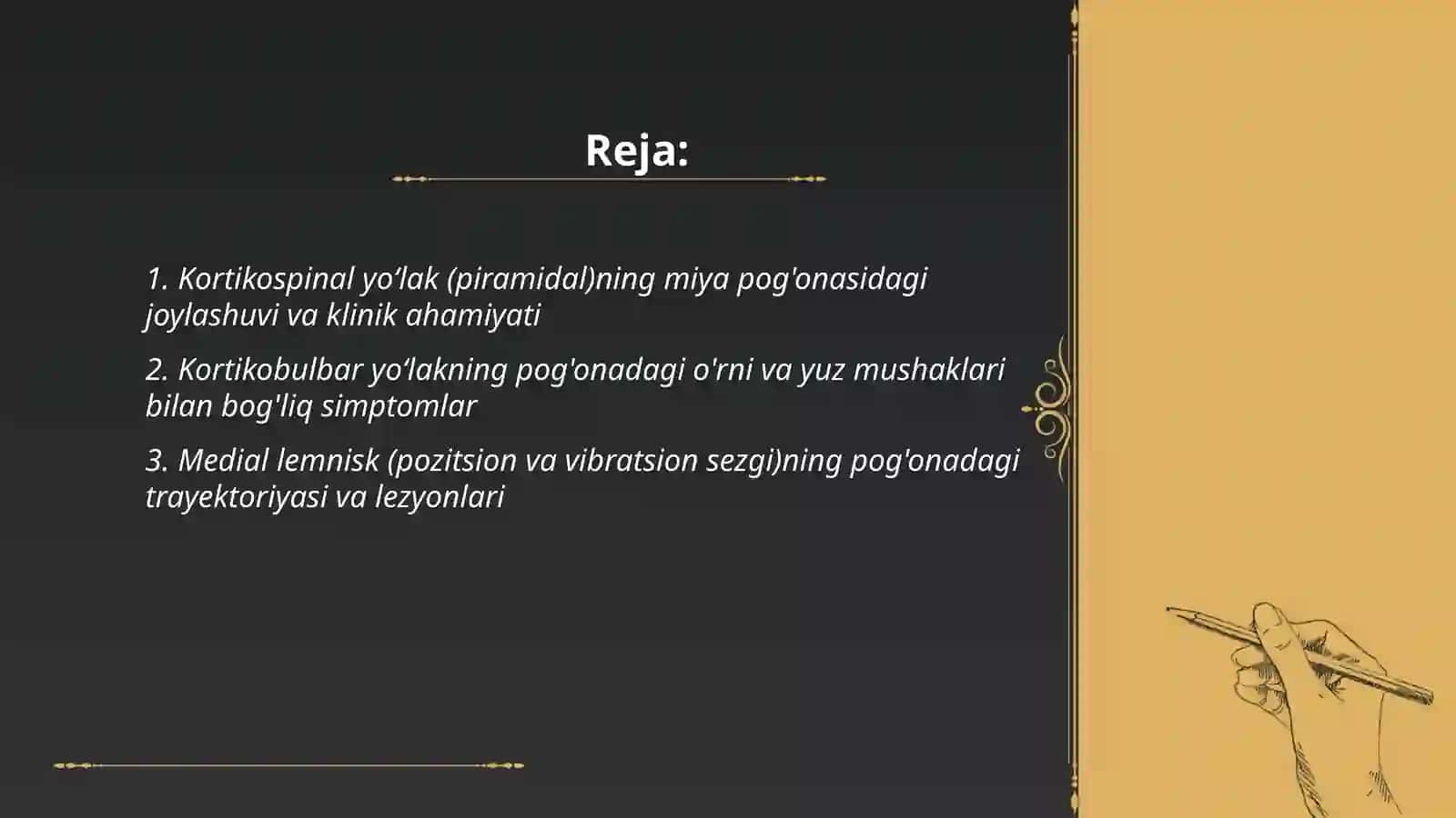 Miya pog'onasiga oʻzaklarning joylashuvi va ularning klinik ahamiyati 2
