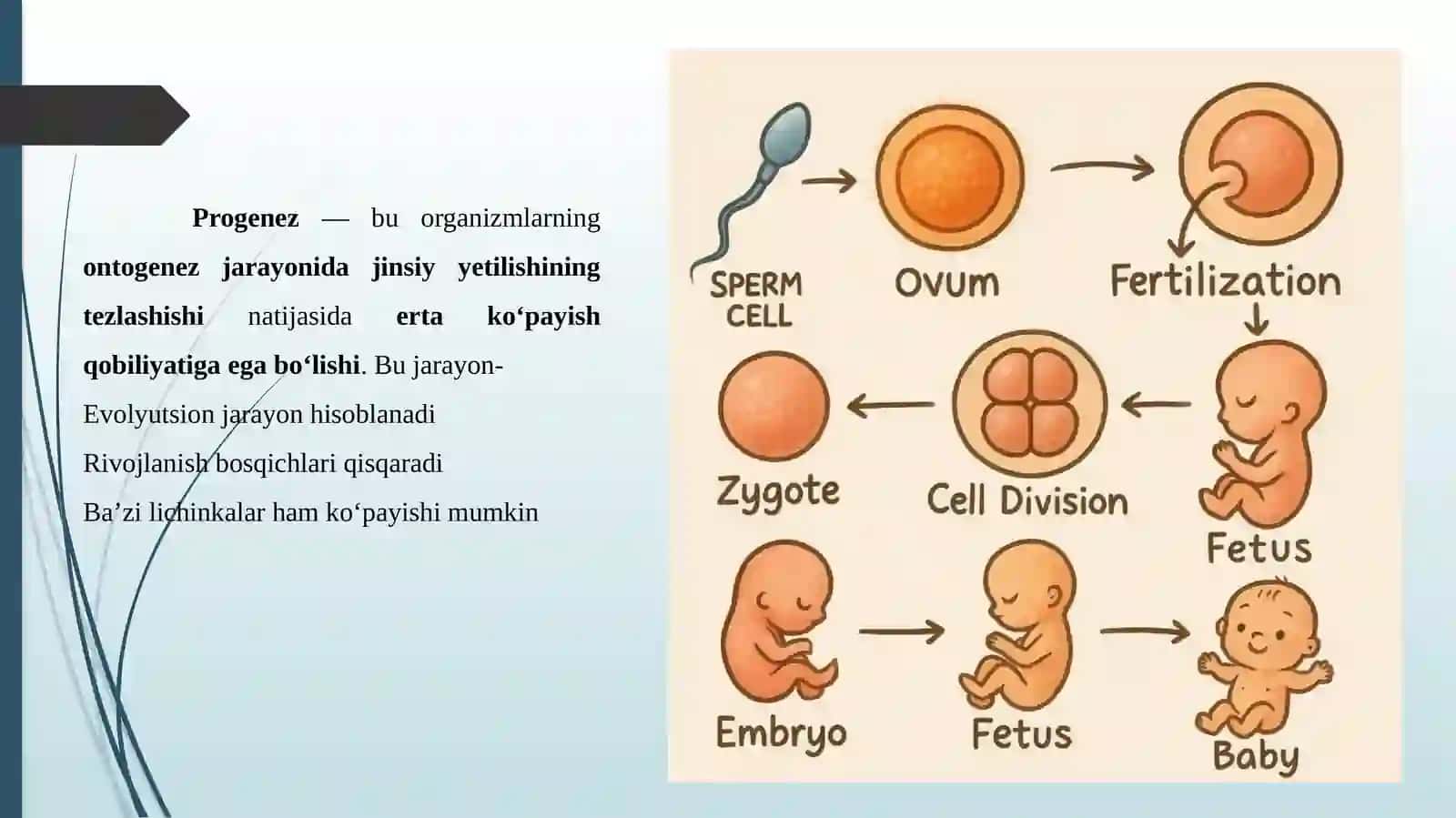 Progenez 2