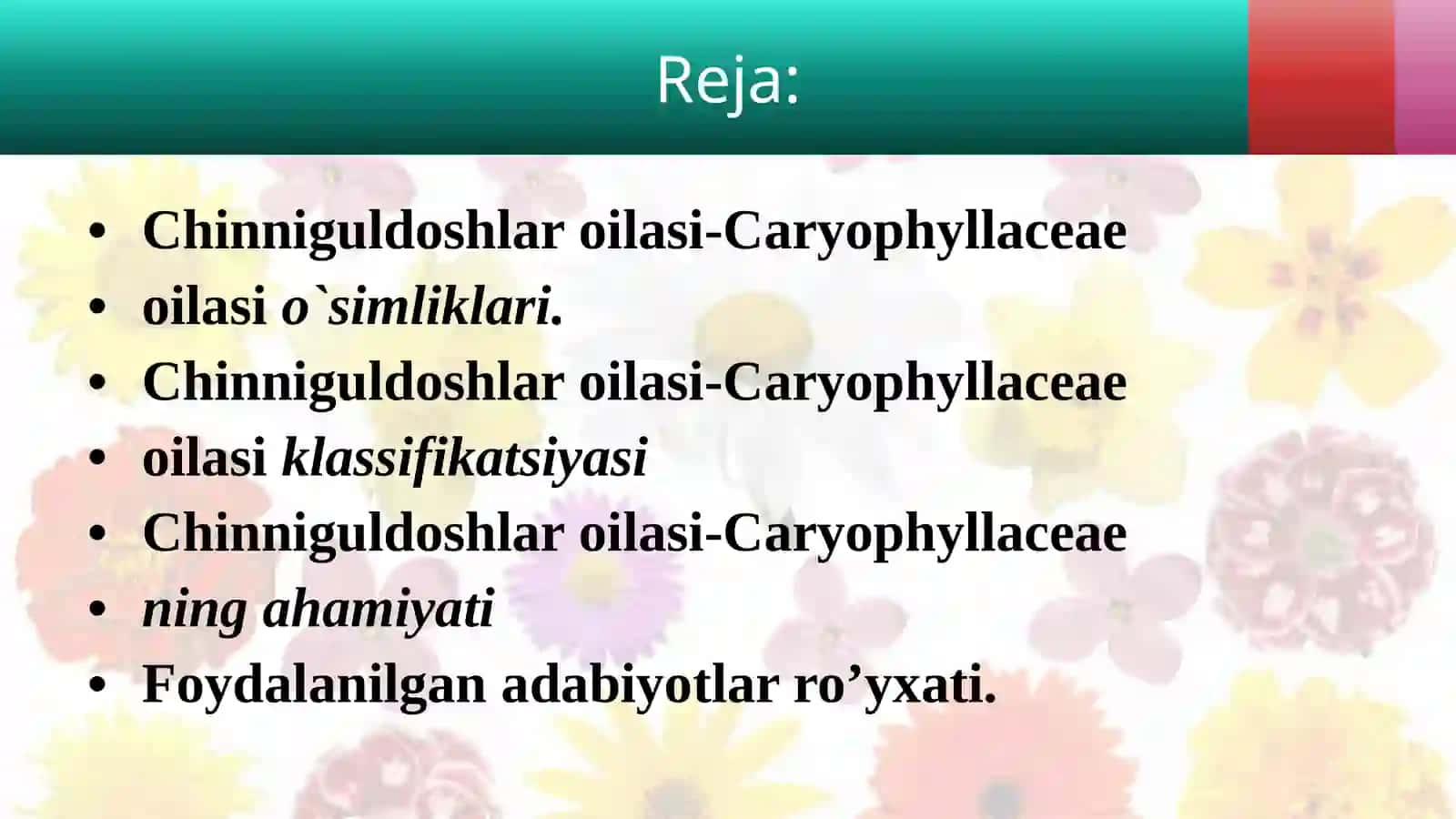 Chinniguldoshlar oilasi-Caryophyllaceae bilan umumiy tanishish 2