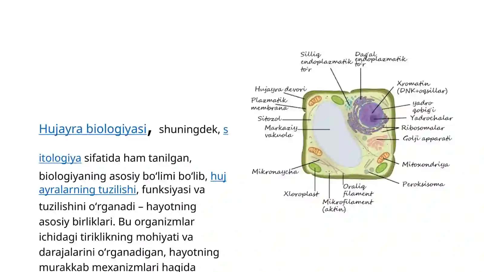 Hujayrabiologiyasi. Genterapiyasi.Klonlar,klonlashtirish 2