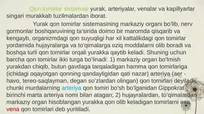 Qon tomirlar sistemasi 2