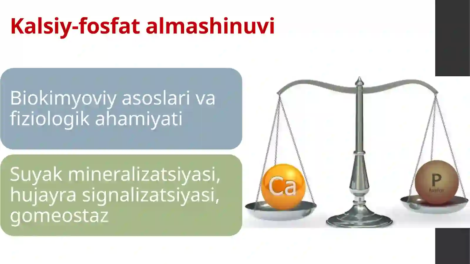 Kalsiy fosfat almashinuvi 2