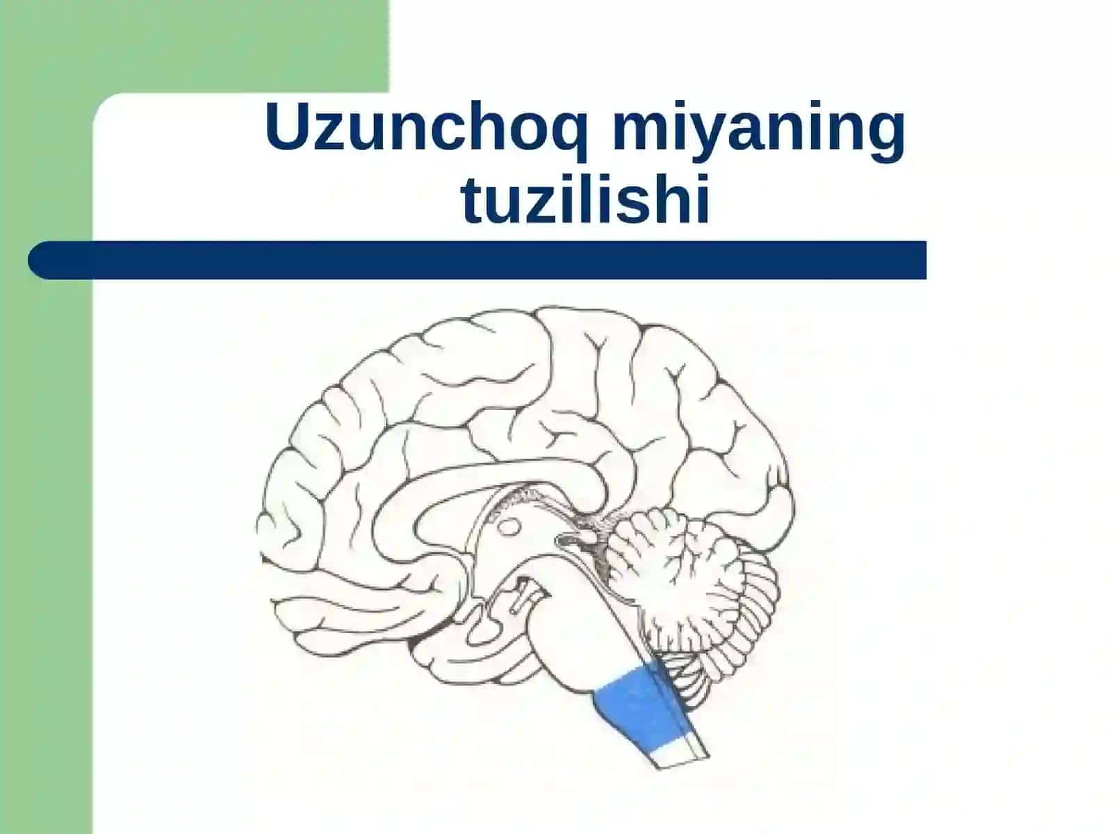 Uzunchoqmiya 2