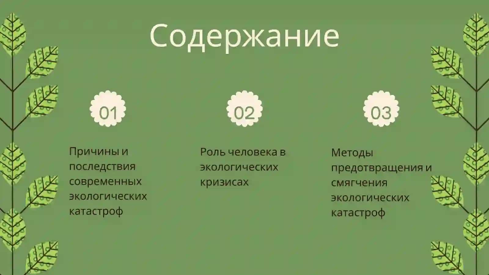 Экологические катастрофы современности 2