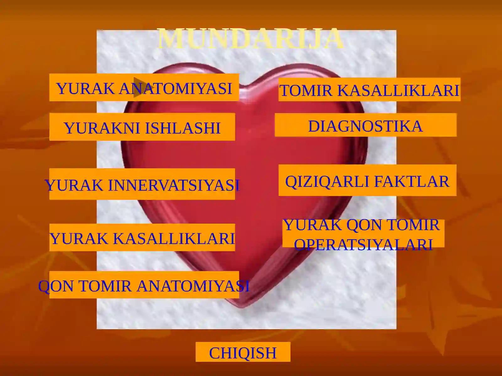 YURAK ANATOMIYASI 2