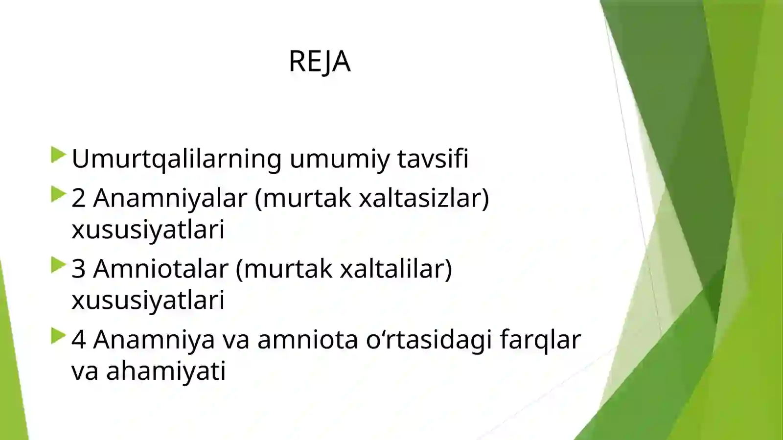 Murtakxaltasiz–Anamniyalar va Murtakxaltali–Amniotalar 2
