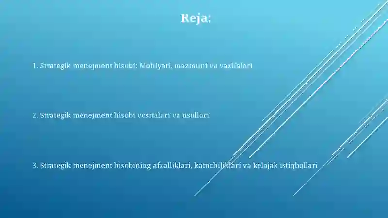Strategik Menejment Hisobi 2