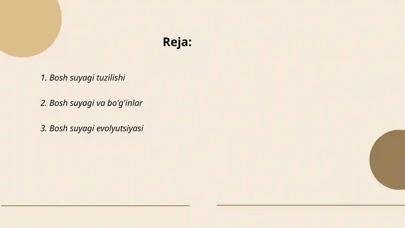 Bosh suyagi qismlari 2