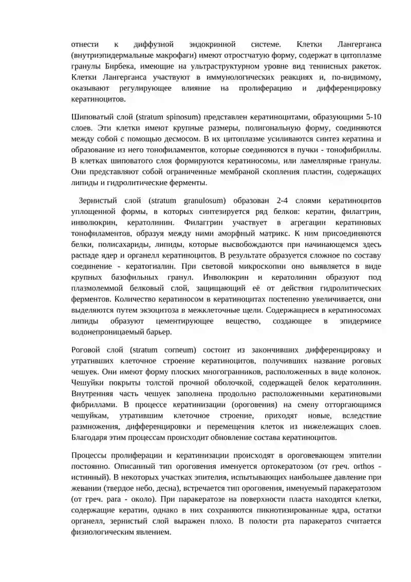 Строение слизистой оболочки полости рта в норме и при патологии у детей 2