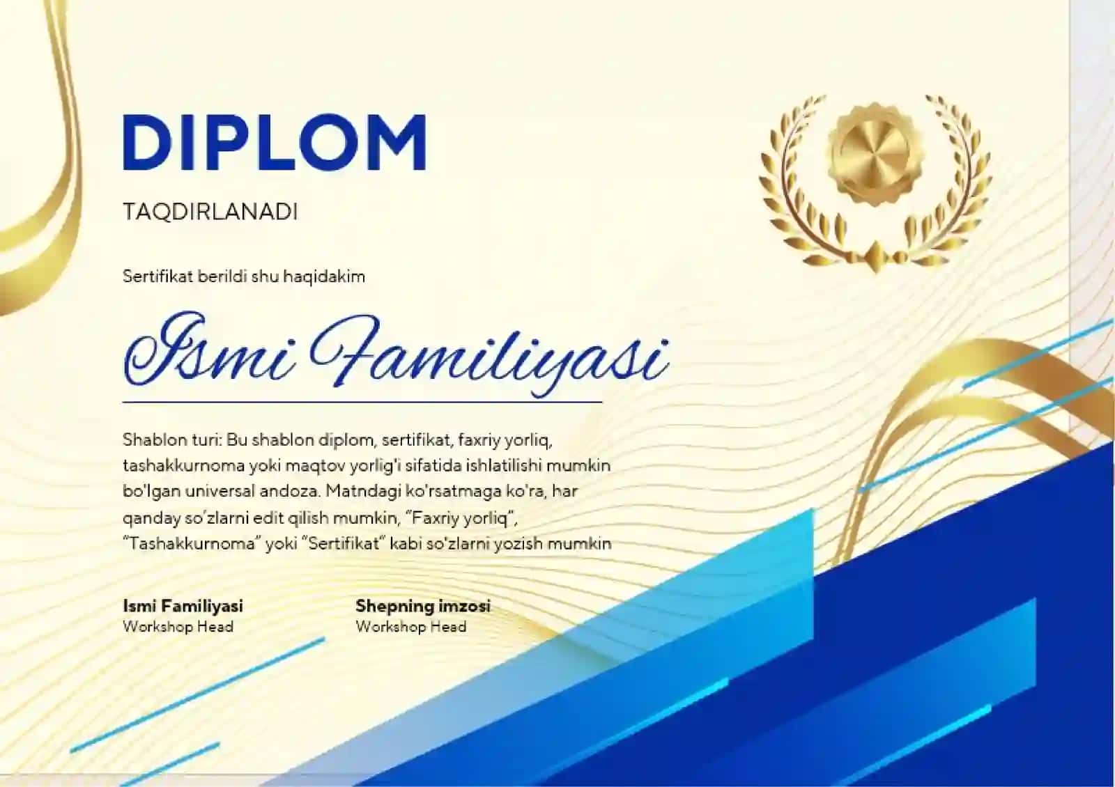 DIPLOM 2