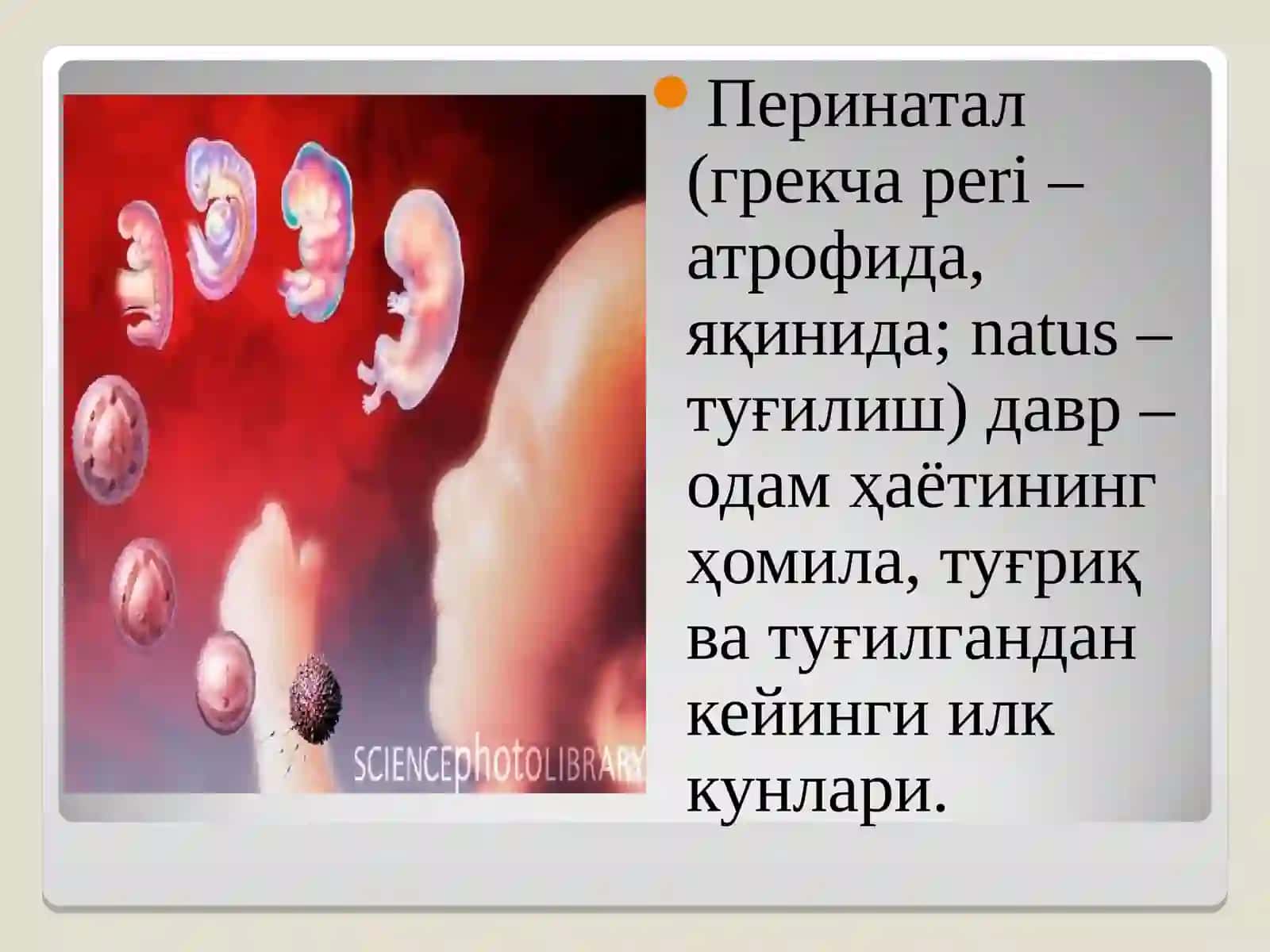 Онтогенезнинг илк босқичларида инсоннинг психик ривожланишига хос хусусиятлари 2