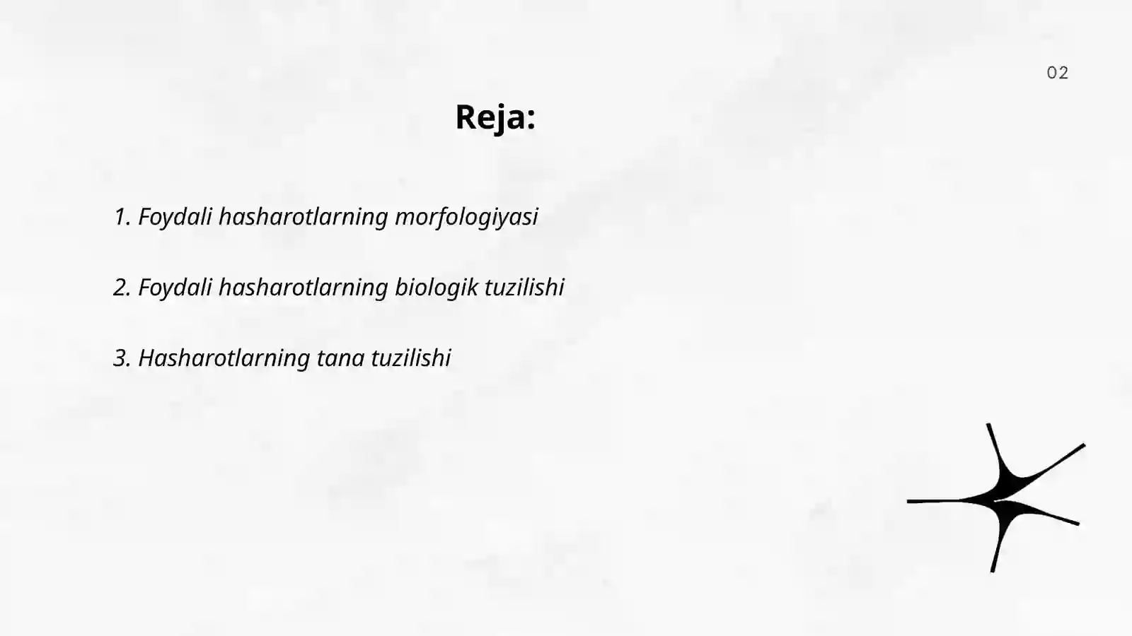 Foydali hasharotlarning umumiy tuzilishi 2