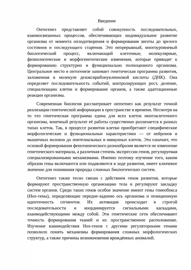 Онтогенез 2