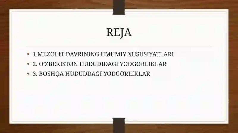 Mezolit davri manzilgohlari 2