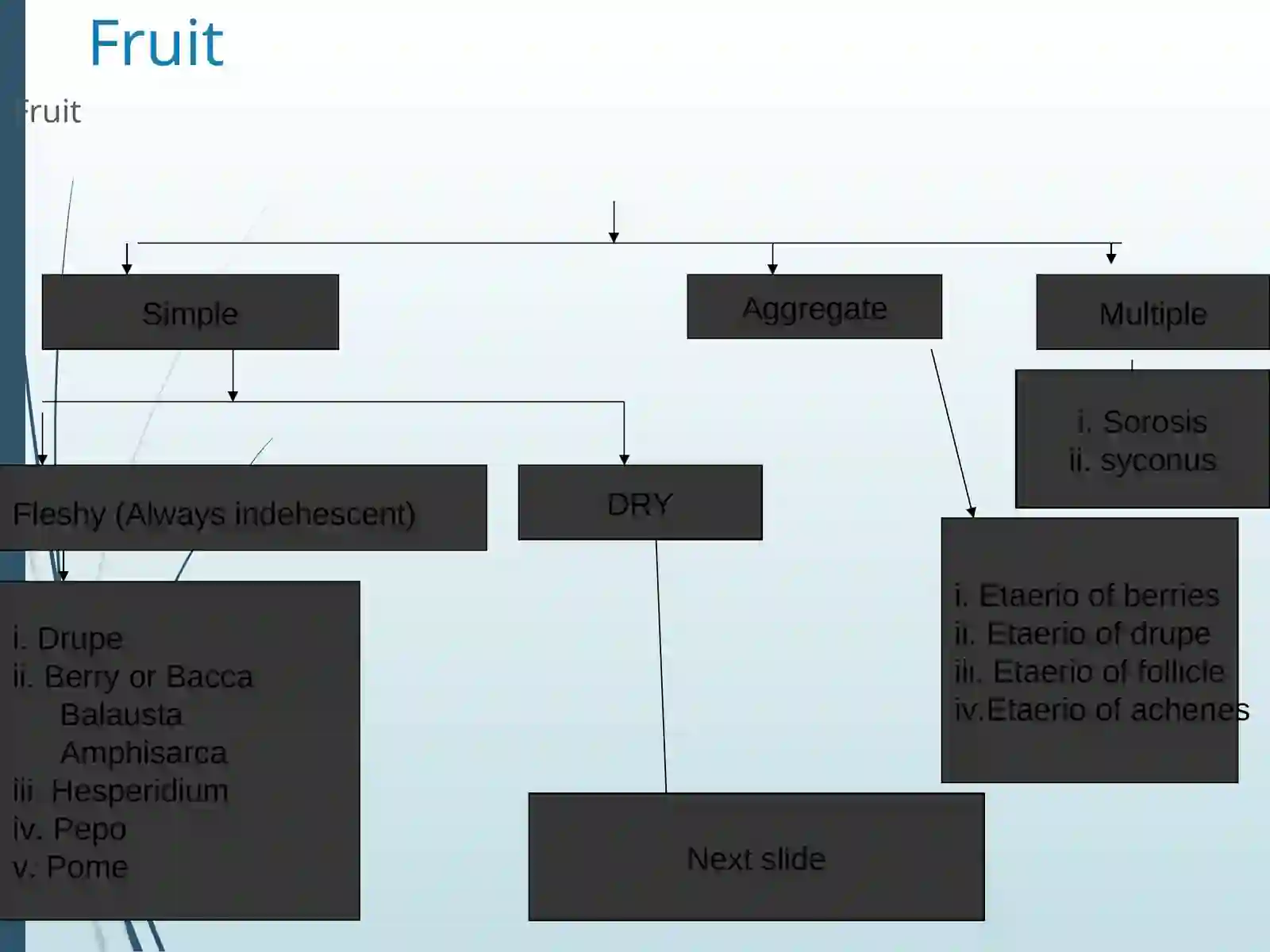 Lecture on fruit 2