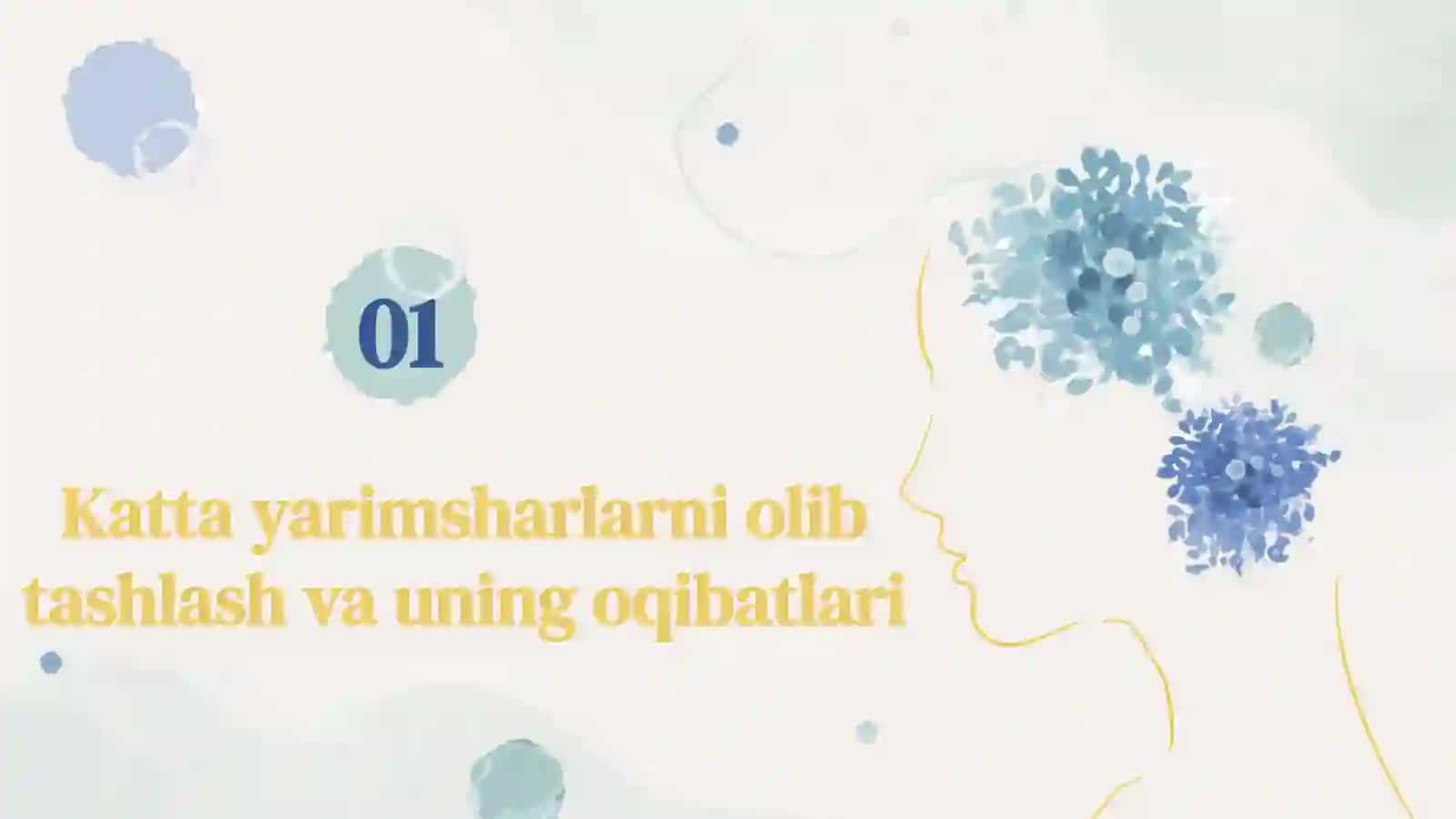 Boshmiyakattayarimsharlaripo’stlog’iningfiziologiyasi 2