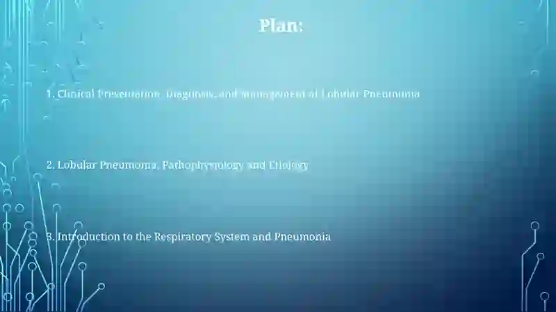 Lobular pneumonia 2