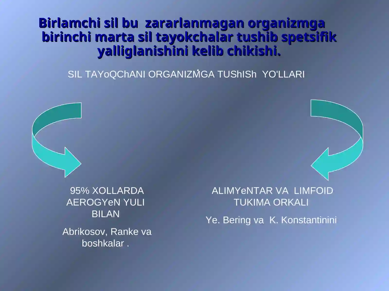 Birlamchi sil 2