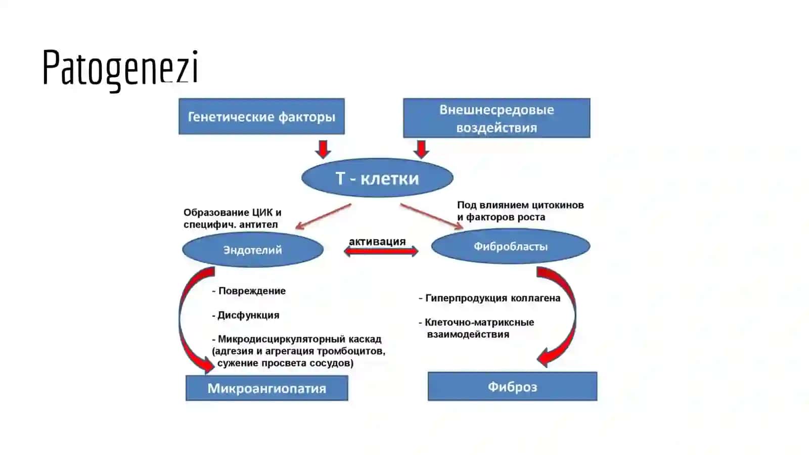 Tizimli sklerodermiya (2-variant) 2