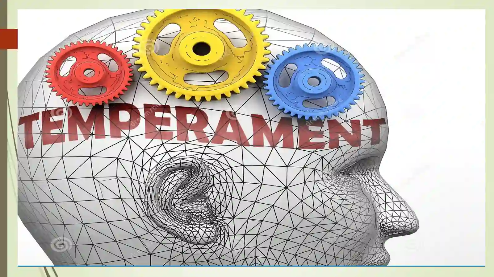 TEMPERAMENT XUSUSIYAT 2