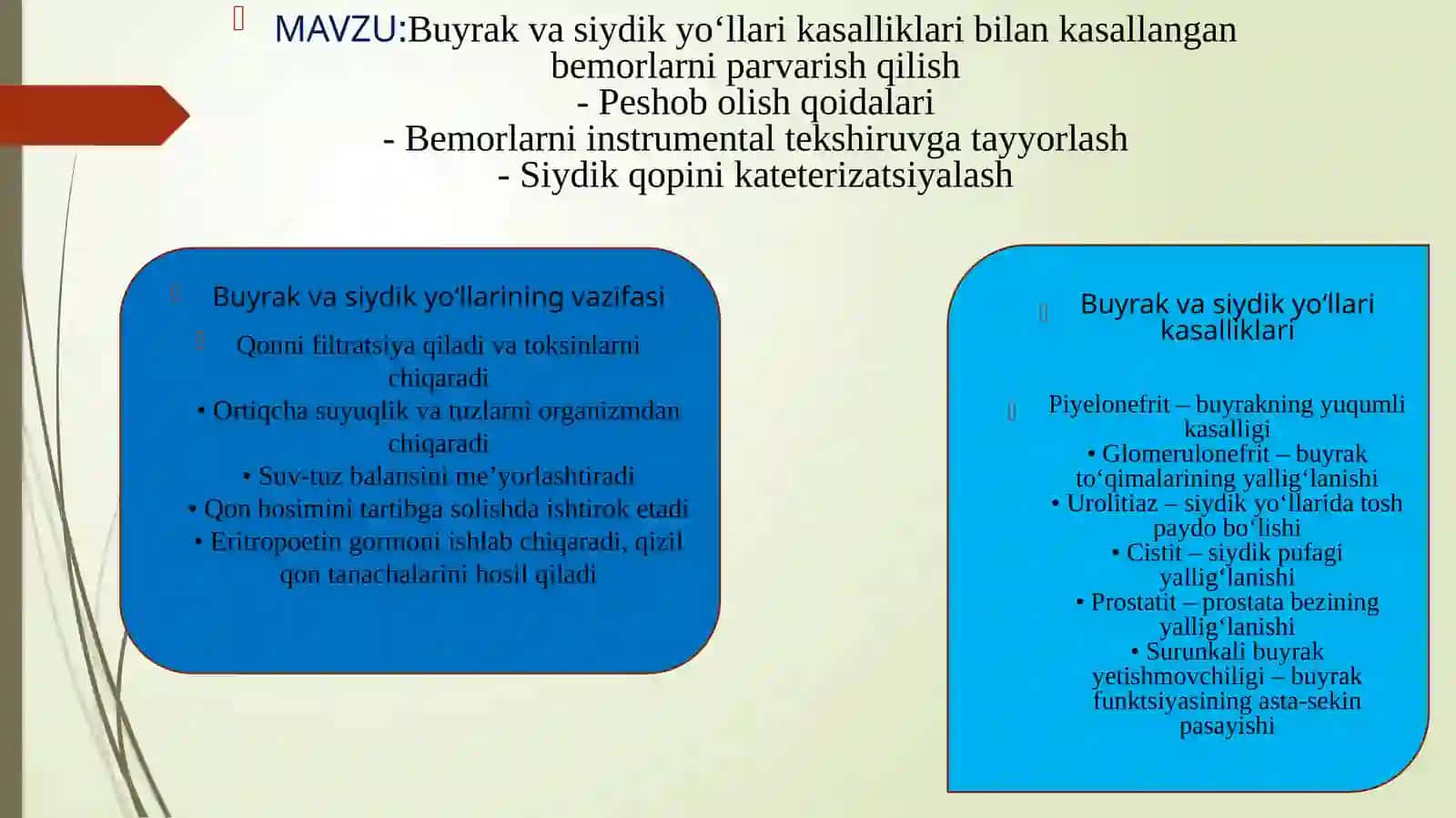 Buyrak va siydik yo‘llari kasalliklari bilan kasallangan bemorlarni parvarish qilish 2
