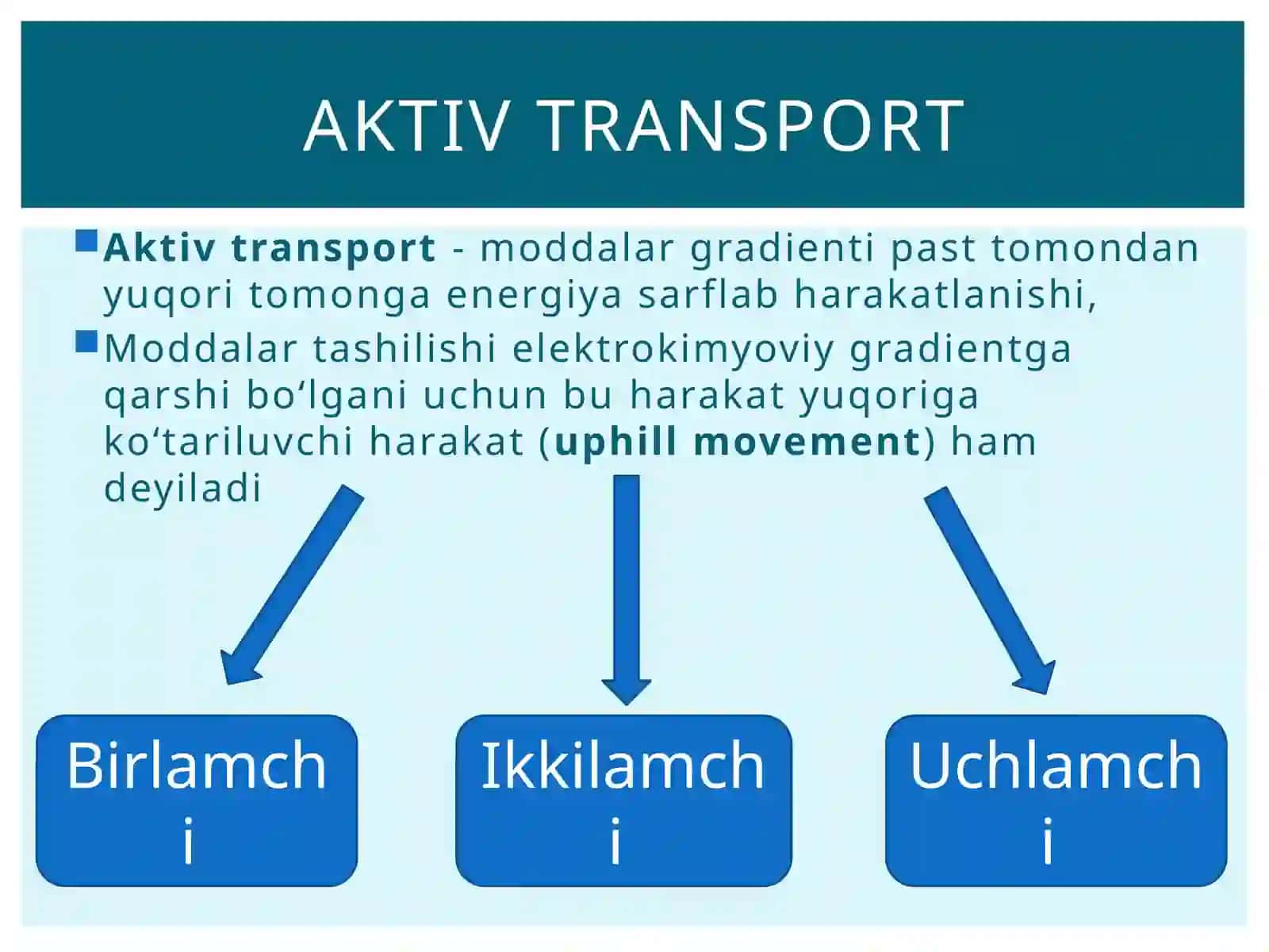 Aktivtransport-moddalargradienti 2