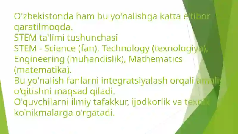 STEM Ta'limi 2