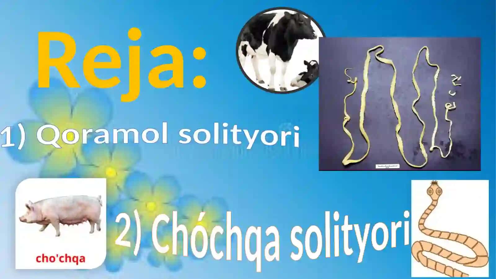 Tasmasimon chuvalchanglar 2