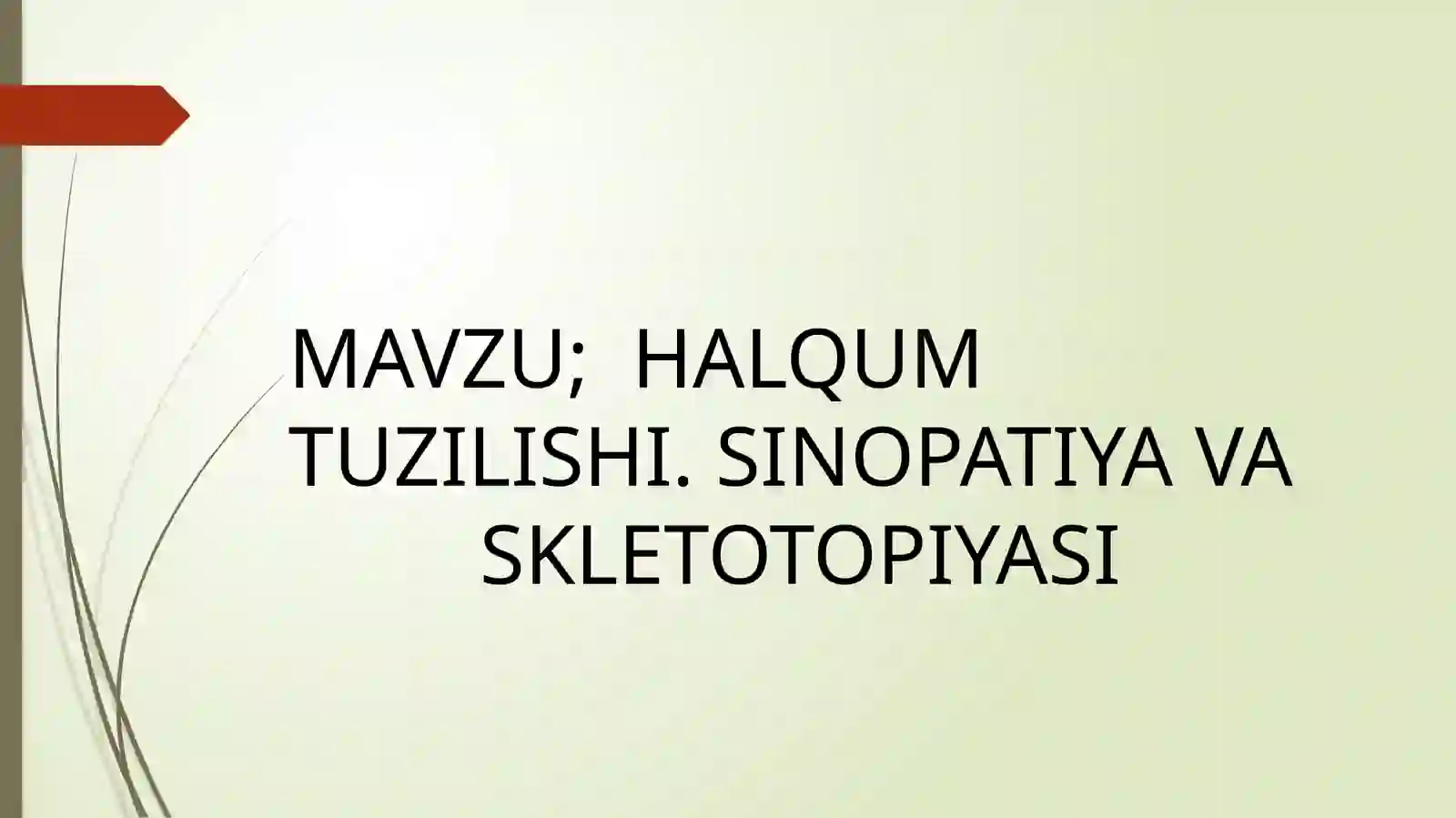 HALQUM TUZILISHI. SINOPATIYA VA SKLETOTOPIYASI 2