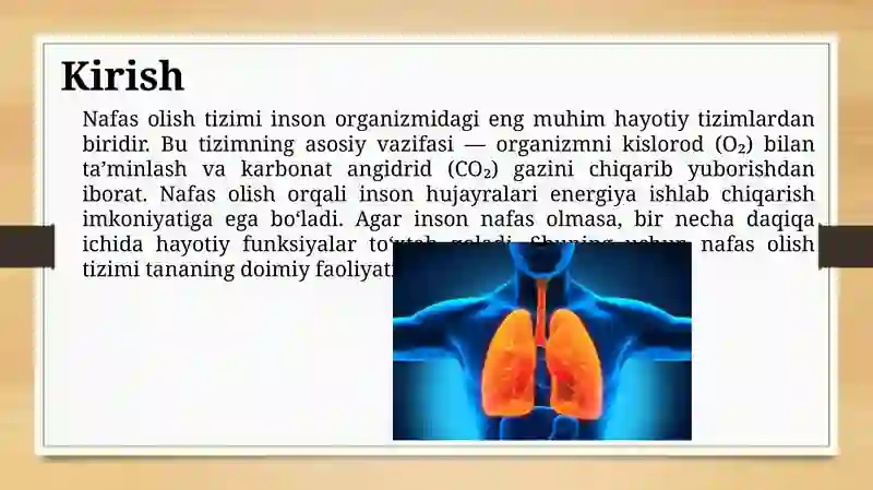 Nafas olish tizimi 2