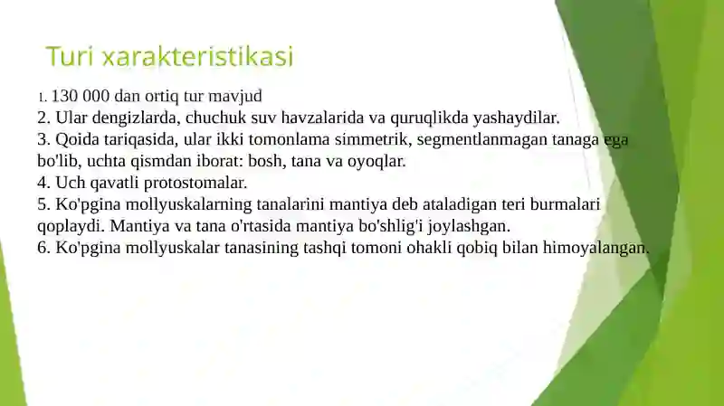 Mollyuskalar turlari 2