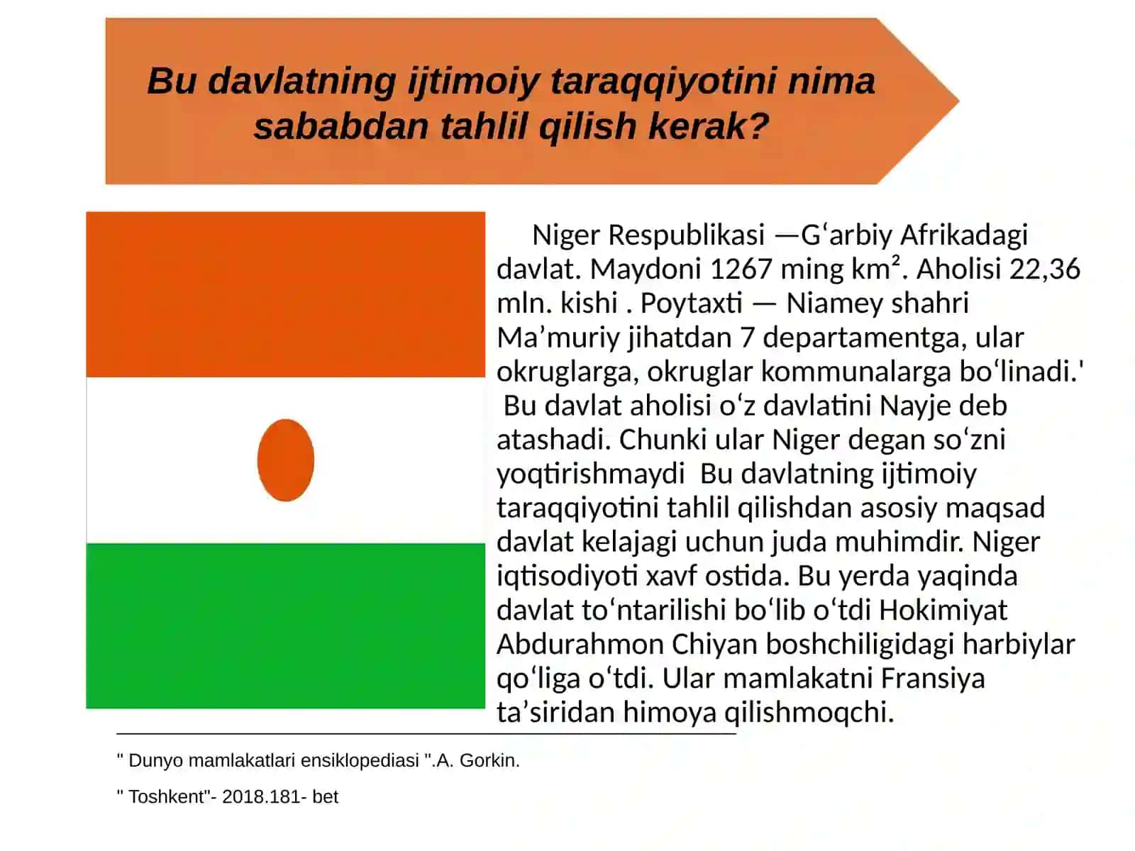 Niger davlati 2