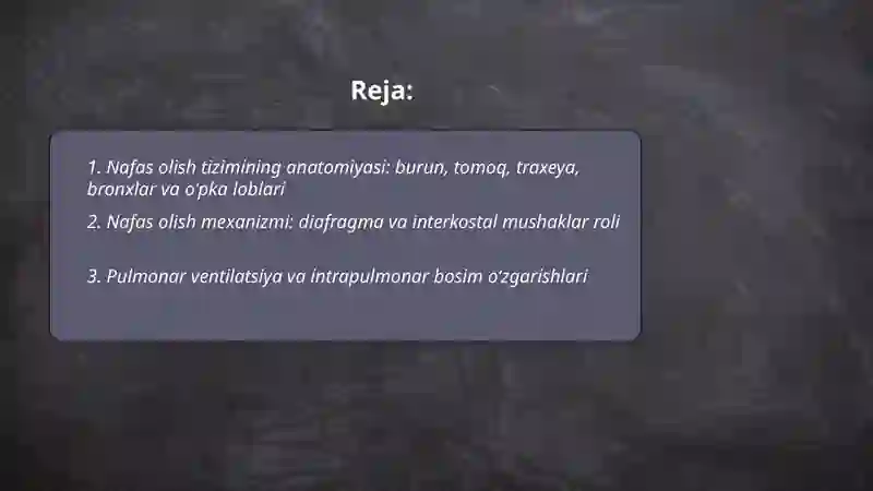 Nafas olish tizimi 2