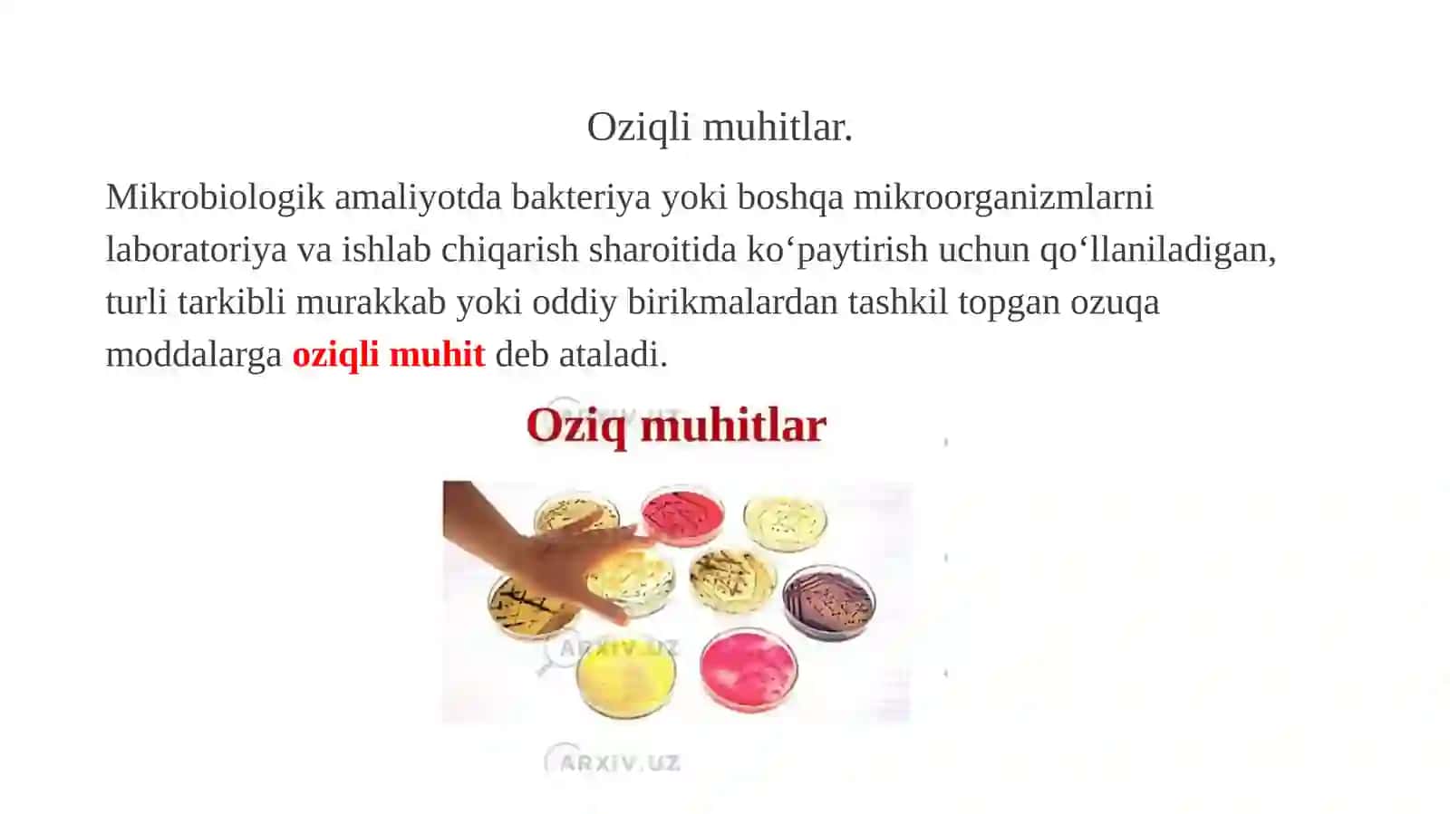 Oziqli muhitlar 2