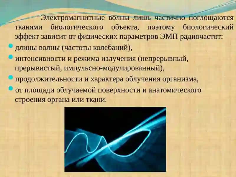 Влияние на организм человека электромагнитных полей 2