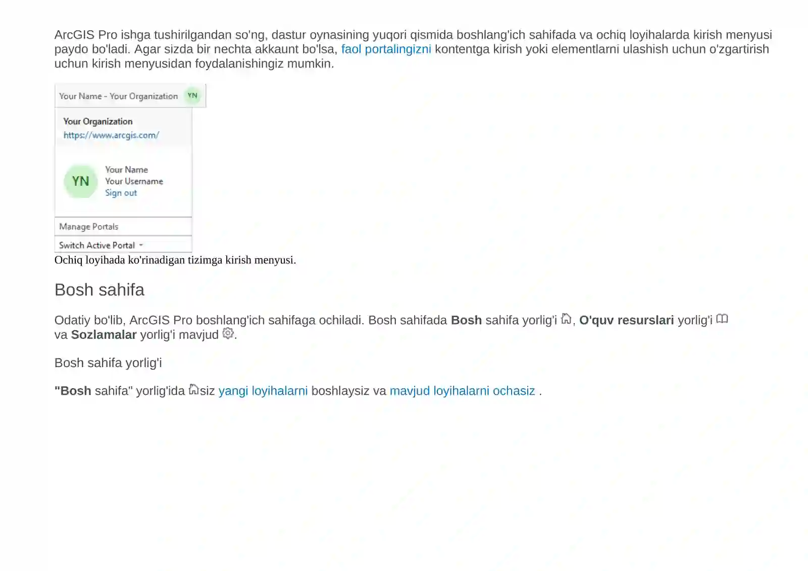 ArcGIS Pro 2