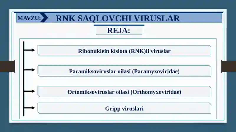 RNK SAQLOVCHI VIRUSLAR KELTIRIB CHIQARUVCHI YUQUMLI KASALLIK QO’ZG’ATUVCHILARI. ORTOMIKSOVIRUSLAR, PARAMIKSOVIRUSLAR 2