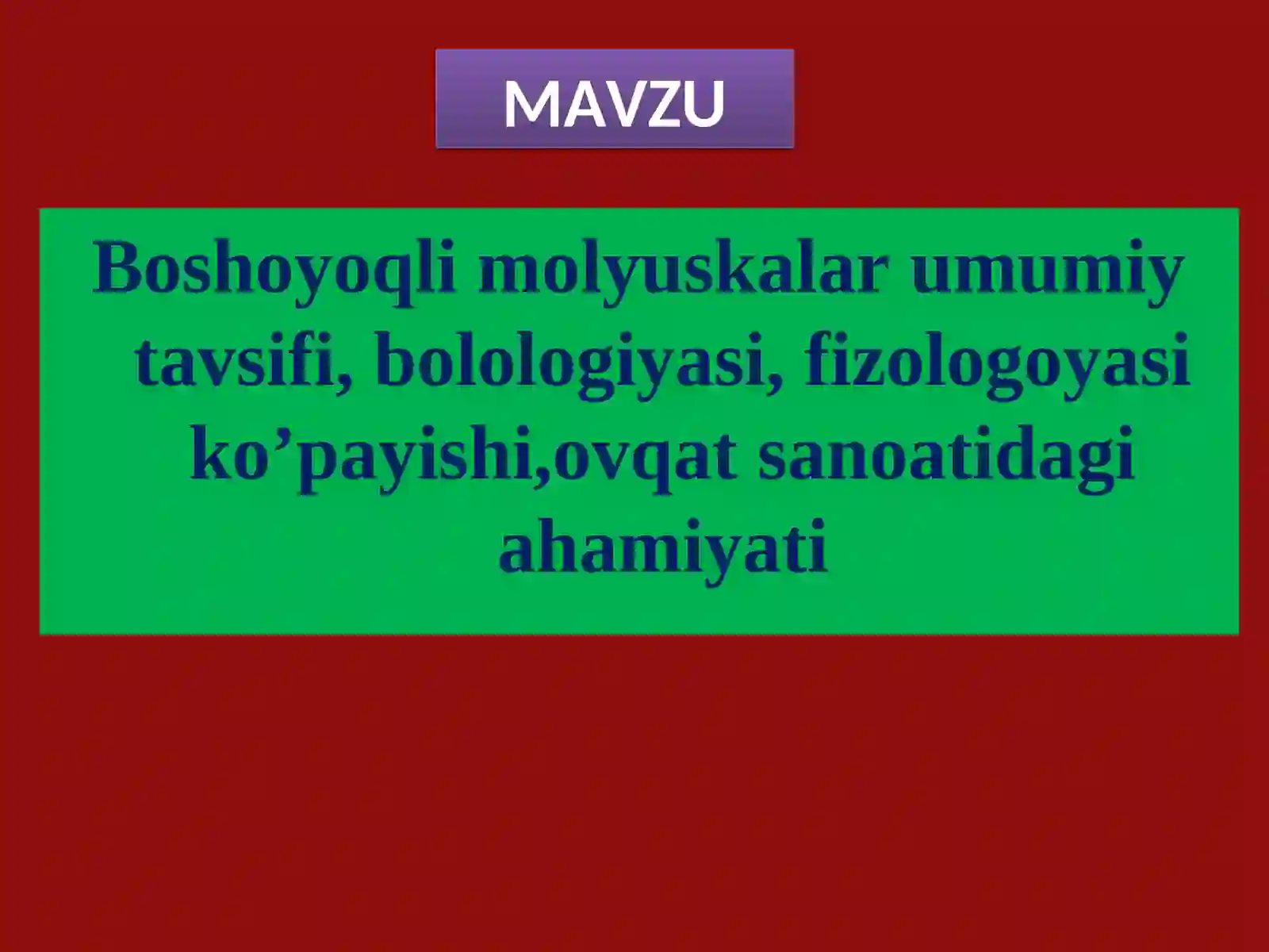 Boshoyoqlilar(Cephalopoda)sinfining tashqi tuzulishi 2