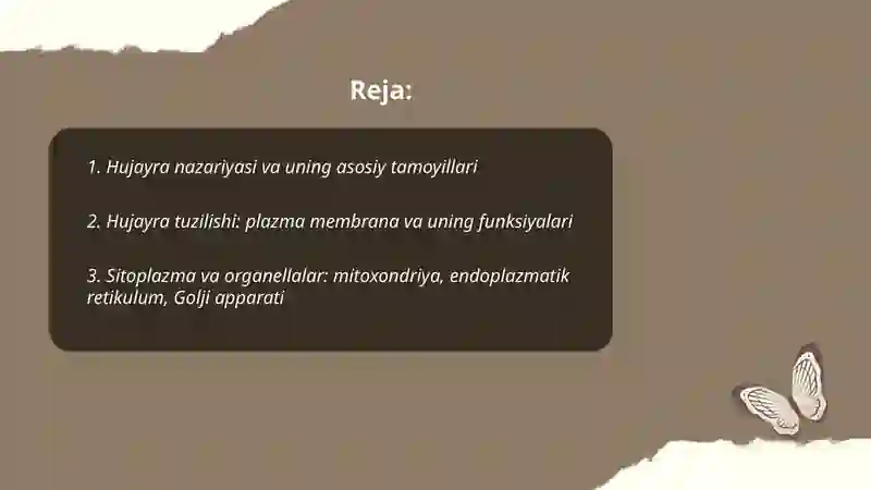 Hujayra nazariya hujayra tuzilishi hayvon va odam xromasomalar o'rtasida morfofunksional xarakteristikasi 2