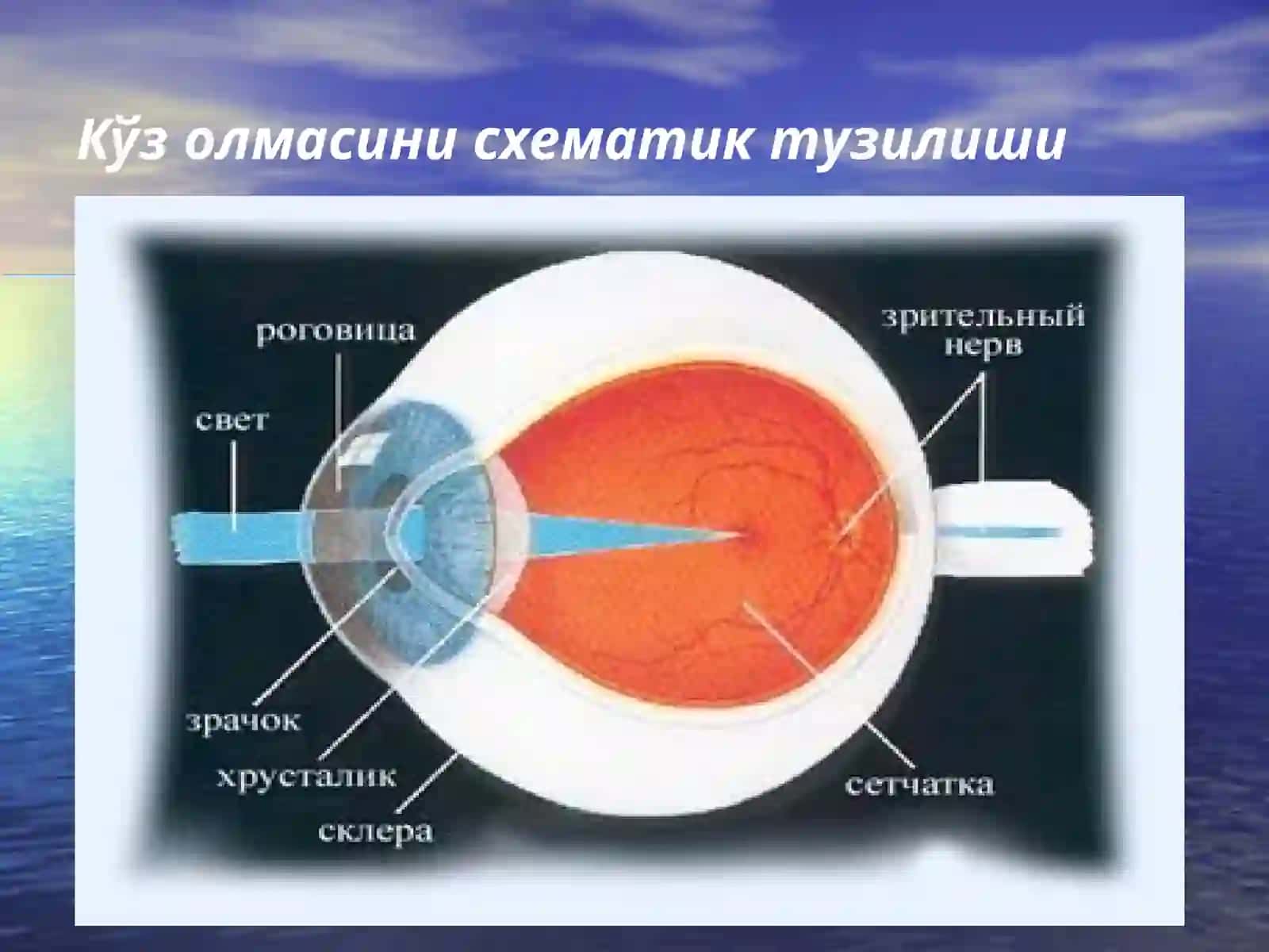 КЕРАТИТЛАР 2