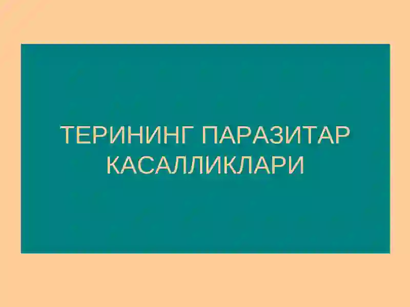 Терининг паразитар касалликлари 2