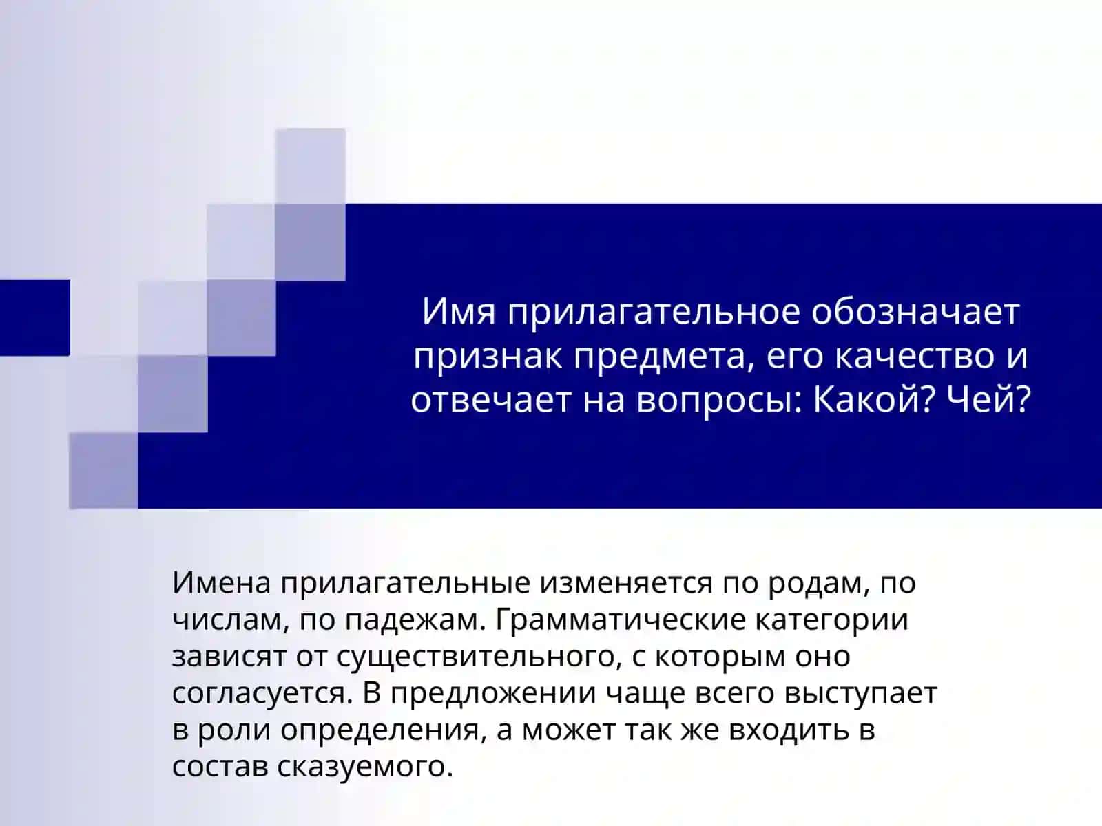 Фукции  лексико-грамматических разрядов и словоформ прилагательных. 2