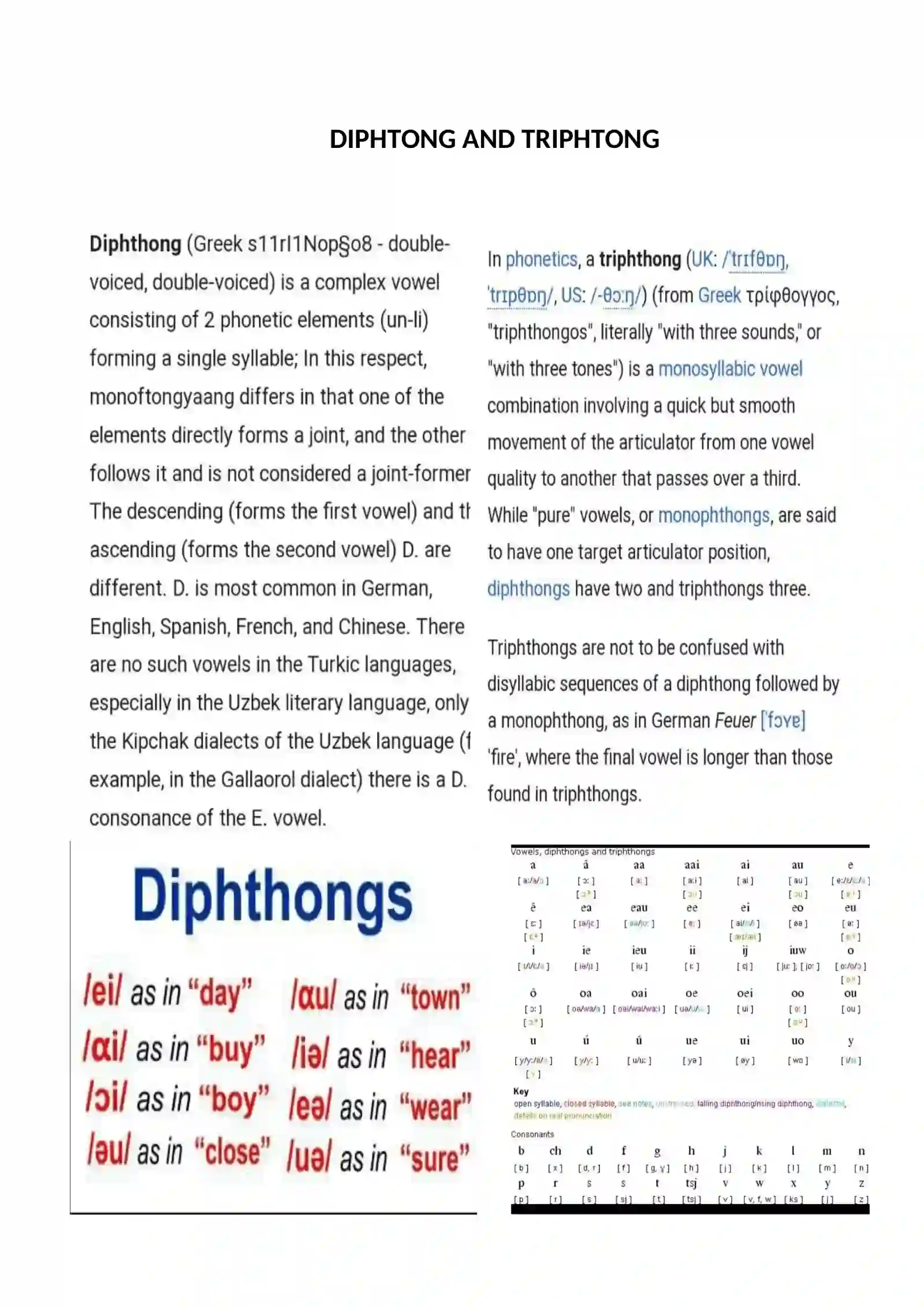 Speech Organs 2