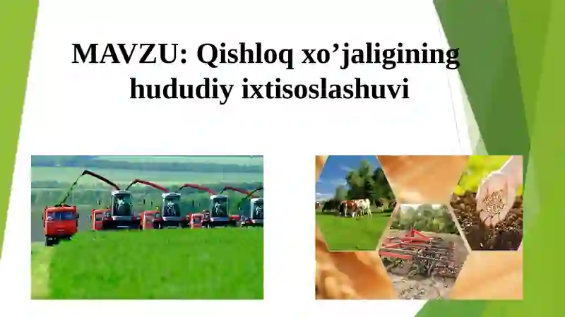 Qishloq xo’jaligining hududiy ixtisoslashuvi 2