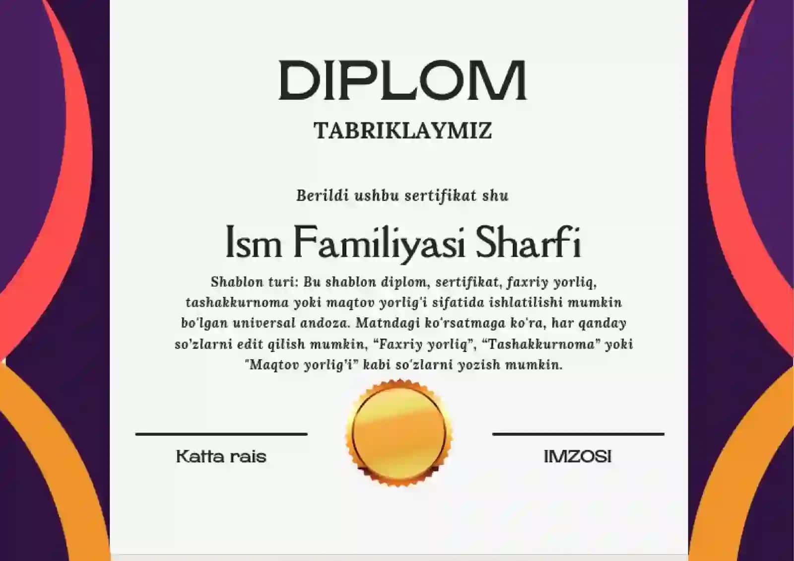 DIPLOM 2