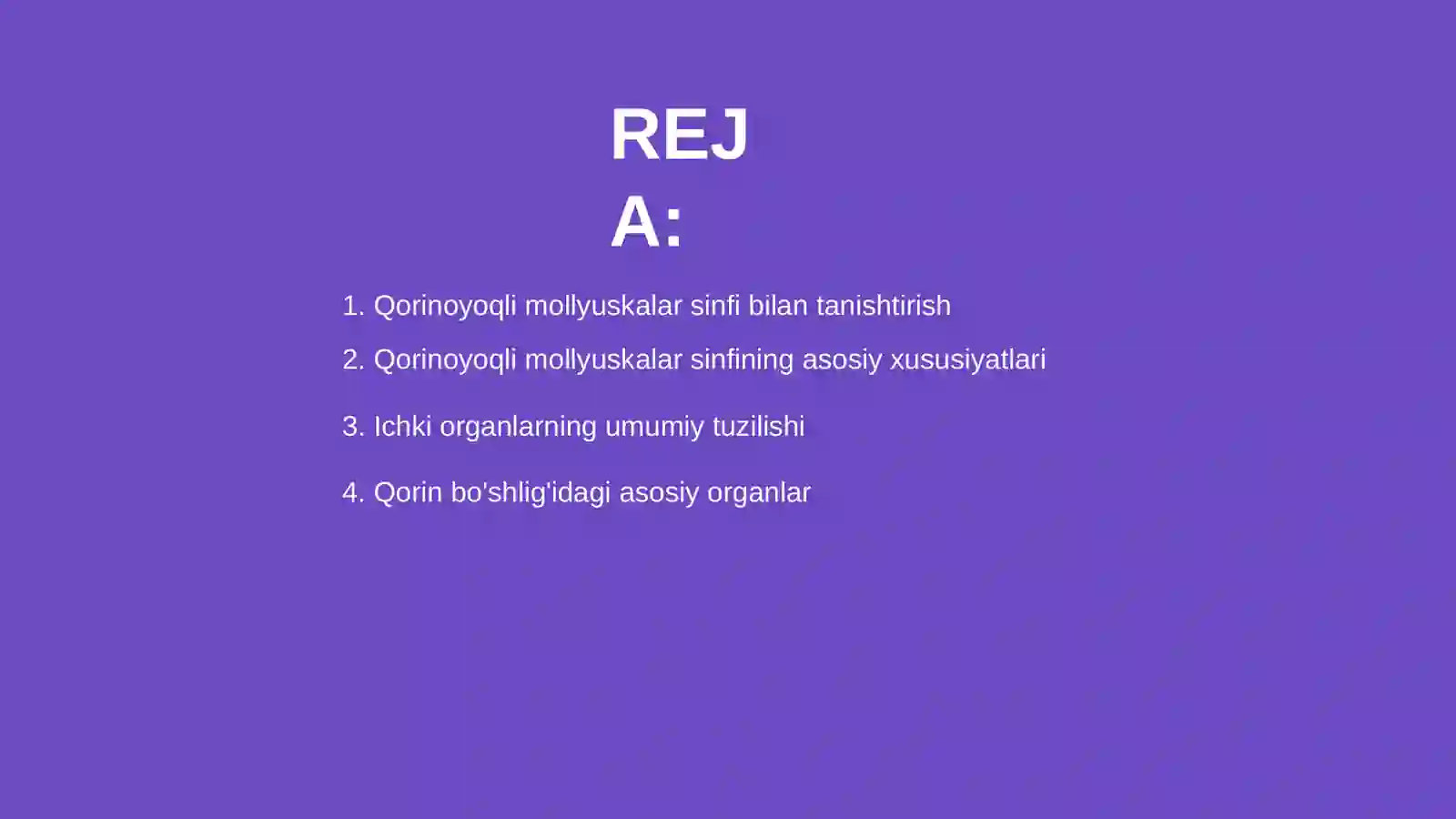 Qorinoyoqli mollyuskalar sinfi 2