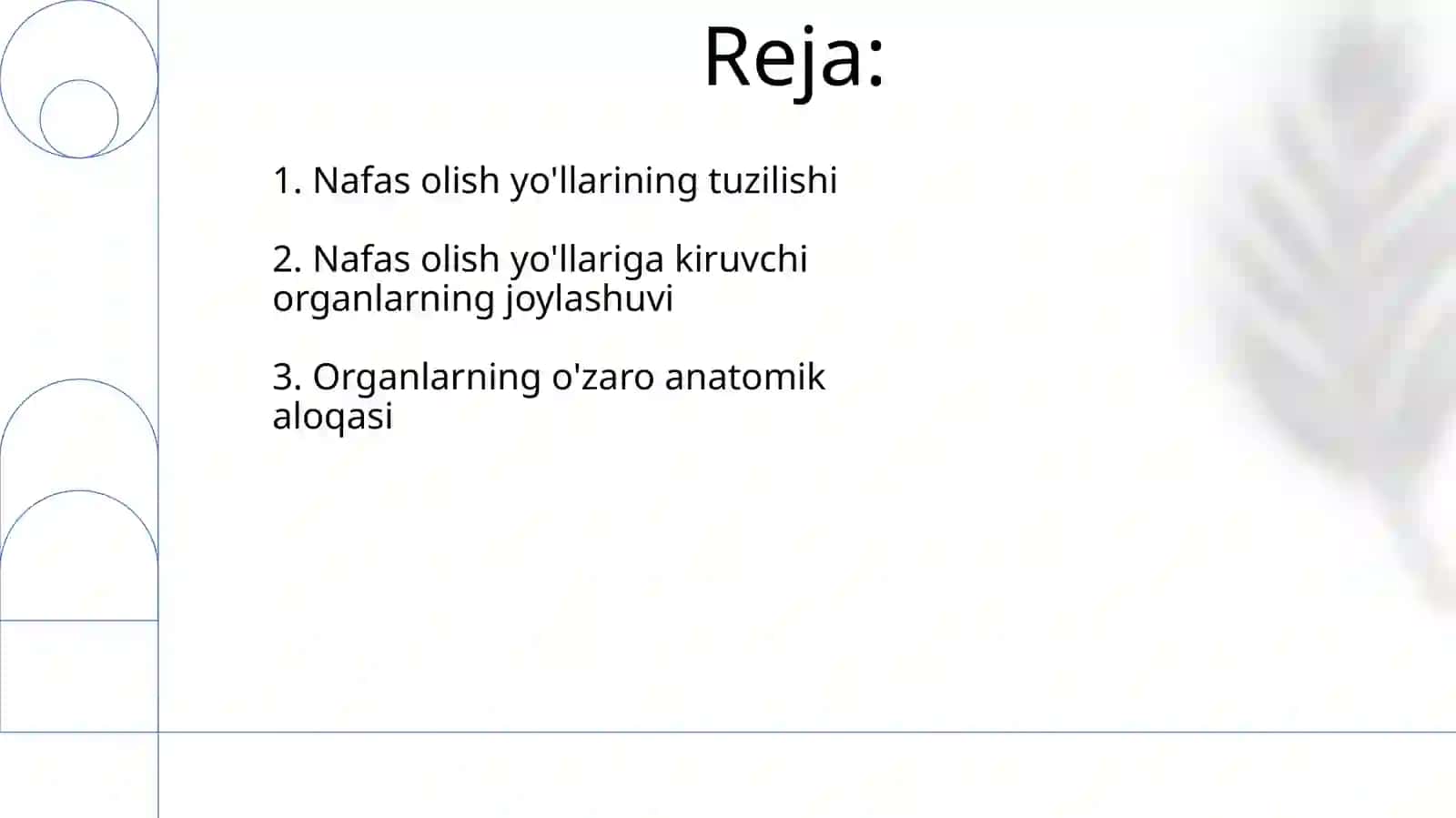 Nafas yo'llariga kiruvchi a'zolarni tuzilizishi joylashishi 2