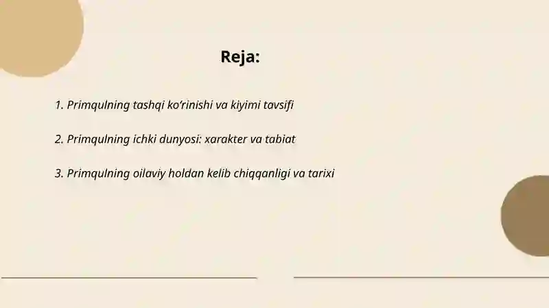 Primqul Qodirovning Jon shirin hikoyasi qahramonlari tavsifi 2