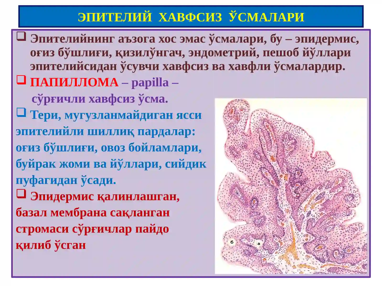 Ўсмалар.Мезенхимал ўсмалар 2