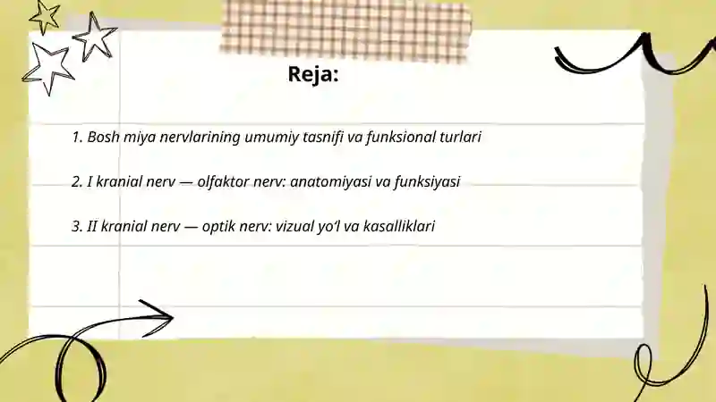 Bosh miya nervlari 2